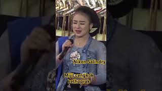 Download lagu Niken Salindry - Mijil kethoprak #nikensalindri #wayangkulit #campursari #dangdut mp3