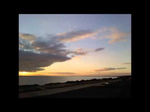 The Beachball Bounce Life Council - Nalin & Kane v. PF Project v. Lucy Liu v. Kelis