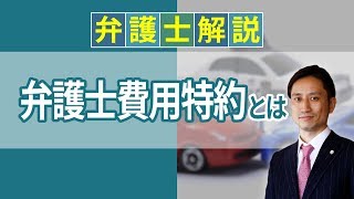 [実況] 弁護士費用特約とは？ 交通事故の被害者になったら必要？ 使い方や利用できる家族の範囲について解説｜弁護士YouTube法律解説