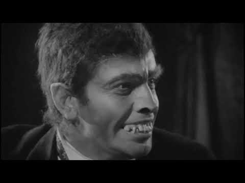 Warren Zevon - Werewolves Of London (1978)