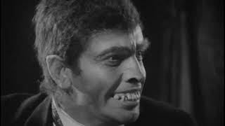 Warren Zevon - Werewolves Of London (1978)