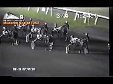 1994 Meadowlands LISHEEN Jack Baggitt Jr.-Mistletoe Shalee Final