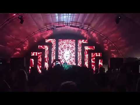 La Foresta 🌳🌿🌱 2023🔥