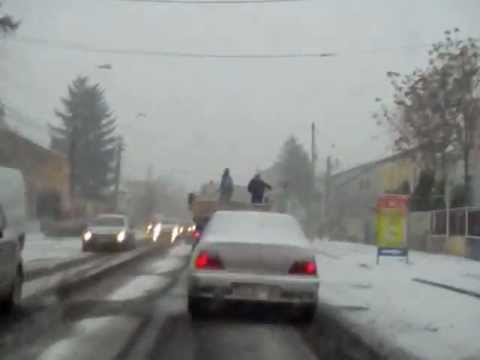 dezapezire timisoara