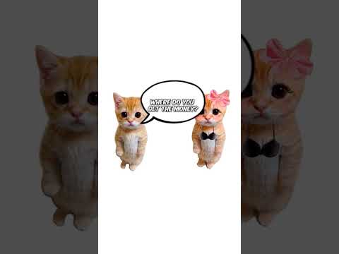 How only fans works explain by kitties #kitty #work