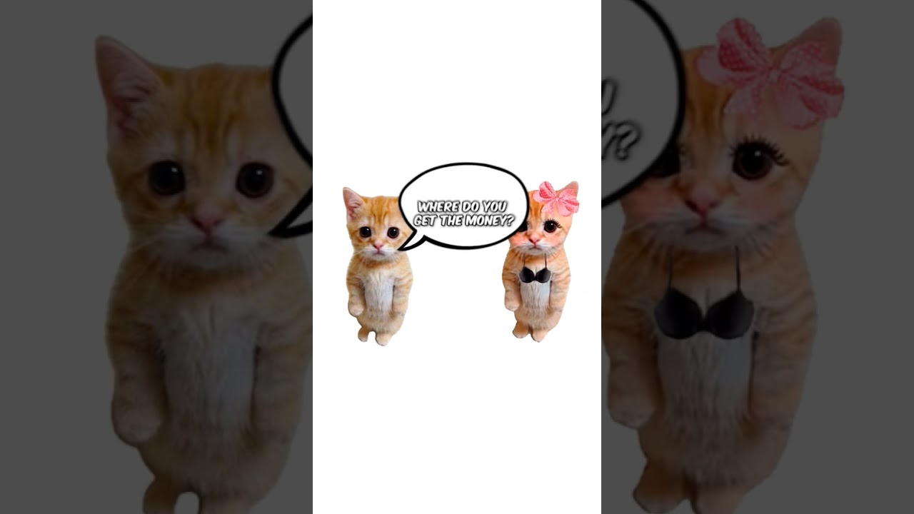 How only fans works explain by kitties #kitty #work