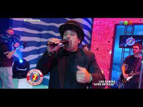 Peligro Bar, Los Sabina "Aves De Paso" - Peligro Sin Codificar