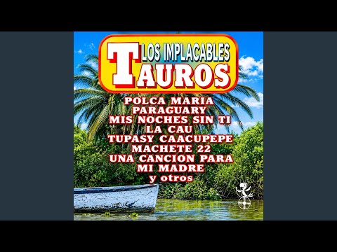 Selección de polcas: Polca Maria / Carreta / 3 de mayo