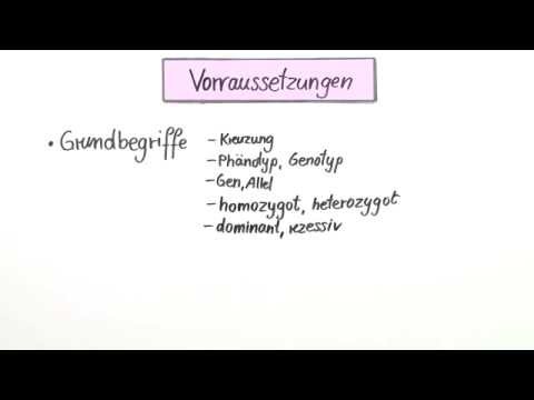 Die Rückkreuzung | Biologie | Genetik