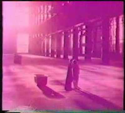 PS & CO - Ung gröð og rík