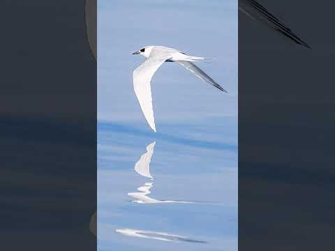 # paradise #maldives # beautiful #beaches