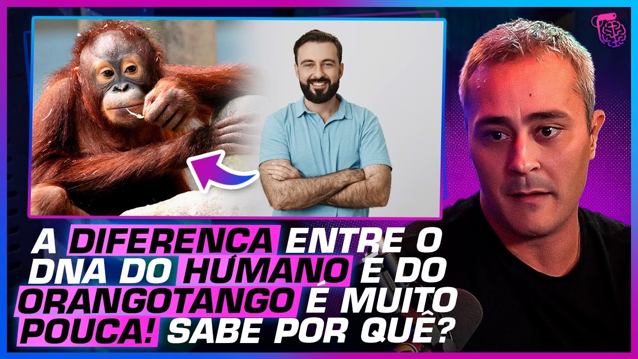 COMO ACONTECEU A EVOLUÇÃO HUMANA? - PAULO JUBILUT