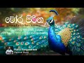 මෝර පිරිත Mora Pariththa Chanting A Traditional Theravada Buddhist Chanting About Pr