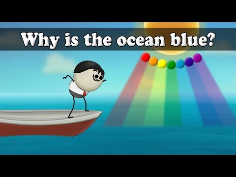 海はなぜ青いのか？| 彡(ﾟ)(ﾟ)ﾉ (Why is the ocean blue? | #aumsum)