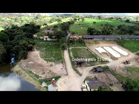 Fazenda granja de aves