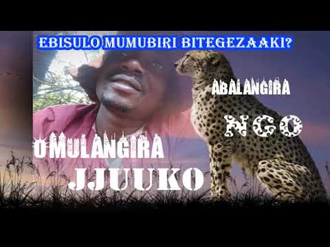 Ebisulo mumubiri bitegezaaki? - Omulangira Jjuuko Munabuddu