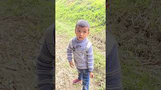 Download lagu #timelapse, start to finish alone build log cabin (wooden house), how to build wooden cabin, surviva mp3 Download lagu #timelapse, start to finish alone build log cabin (wooden house), how to build wooden cabin, surviva mp3