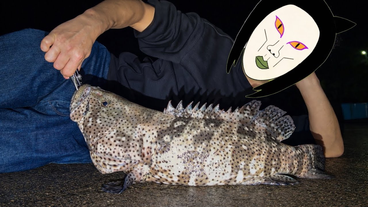ただの漁港で、あり得ない超高級魚が釣れた
