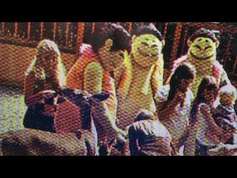 TDW 1391 - The Theme Park That Killed 200 Deer