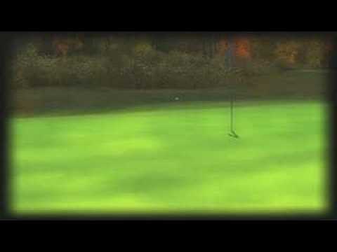 Tiger Woods PGA Tour 08 PSP