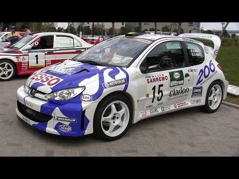 1999 Peugeot 206 WRC Rally Sanremo G.Panizzi Specifications Replica