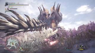 MHW:β　ネルギガンテ　双剣　ソロ