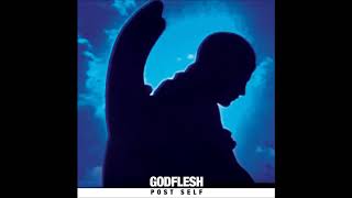 Godflesh - Mortality Sorrow