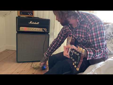 Marshall SV20 + Timmy = Great match