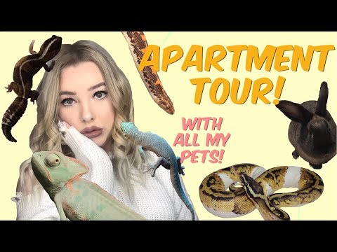 TOUR OF MY PERSONAL ZOO! (Apartment tour + 26 animals!)