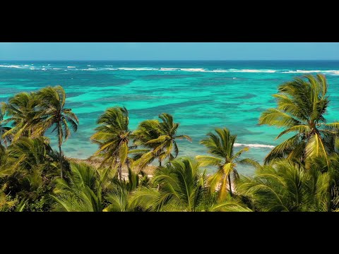 DjeuhDjoah & Lieutenant Nicholson - Danse divine (clip officiel)