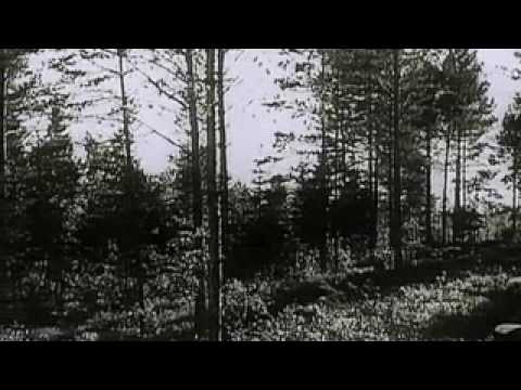 WORLD WAR 2 The Polish army surrenders