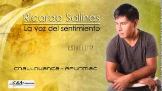 RICARDO SALINAS TAPIA Tus recuerdos C&A Producciones cel: 941050993
