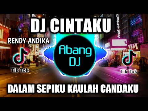DJ CINTAKU RENDY ANDIKA REMIX VIRAL TIKTOK TERBARU 2022 DALAM SEPIKU KAULAH CANDAKU