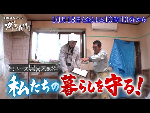 2022 年の大晦日: 気象学者が異常な出来事を報告