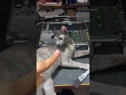 Mantenimiento Laptop VIP