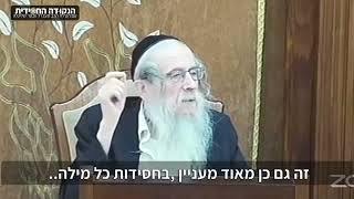 הגה״ח הרב ווכטר שליט״א | תלמיד חכם או עם הארץ (הרב אברהם מנחם מענדל וכטר) - התמונה מוצגת ישירות מתוך אתר האינטרנט יוטיוב. זכויות היוצרים בתמונה שייכות ליוצרה. קישור קרדיט למקור התוכן נמצא בתוך דף הסרטון