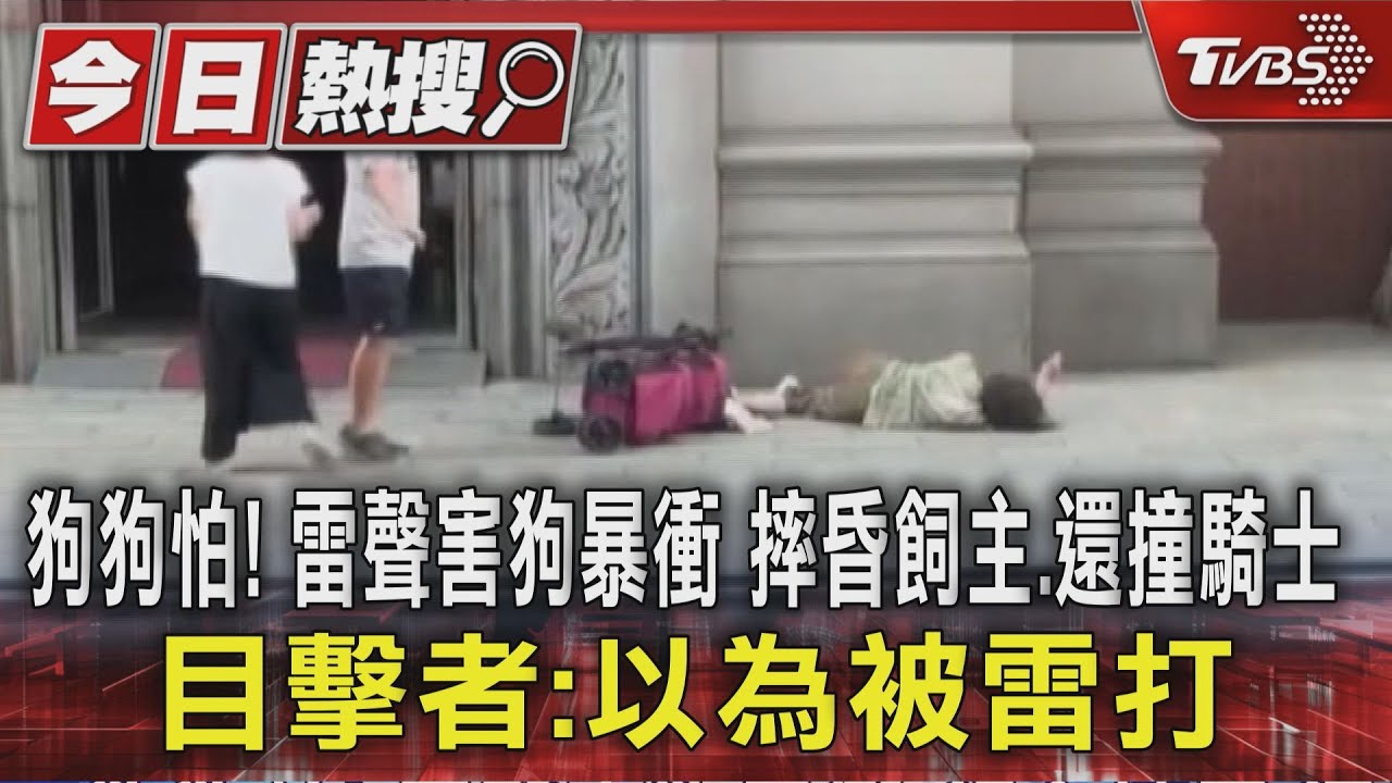 獨/狗狗怕!雷聲害狗暴衝 摔昏飼主還撞騎士 目擊者:以為被雷打