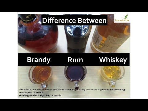 download lagu mp3 mp4 Difference Between Brandy And Wine, download lagu Difference Between Brandy And Wine gratis, unduh video klip Difference Between Brandy And Wine