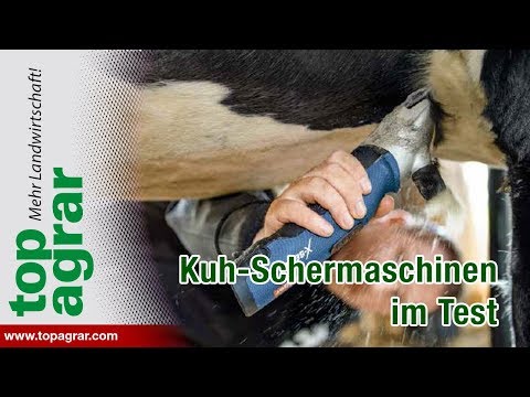 , title : 'top agrar testet Kuh-Schermaschinen'