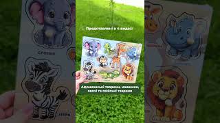 Сортер-вкладиш Свійські тварини