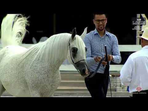 Prague  2023 Intercup   Class 10