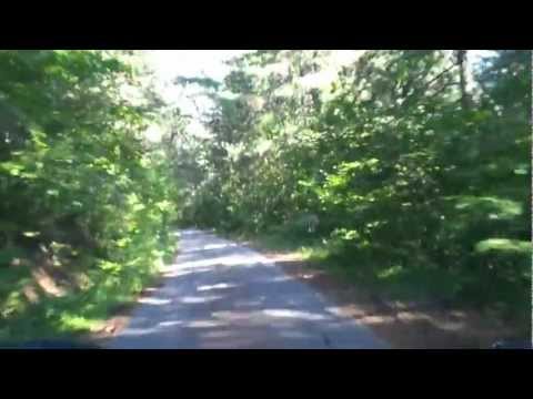 Grafa Bobo Pechenkata-Dim Da Me Nqma {in the forest}