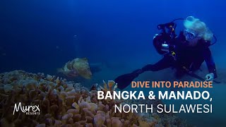 Murex Bangka 2 | SAHAUNG. ISLA DE BANGKA (SULAWESI NORTE, INDONESIA) - North Sulawesi bangka Indonesia foto 2