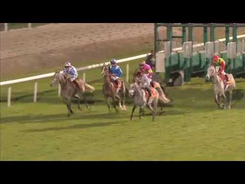 TOULOUSE 29.4.2017 PRIX DE L'ELEVAGE