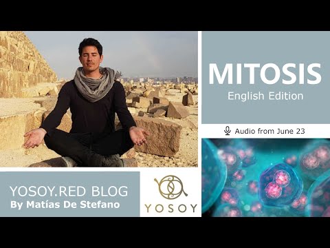 Day 324 - MITOSIS - Matías De Stefano - YOSOY.RED BLOG: Heart -Physical - Gemini, Read by Carey 6/23
