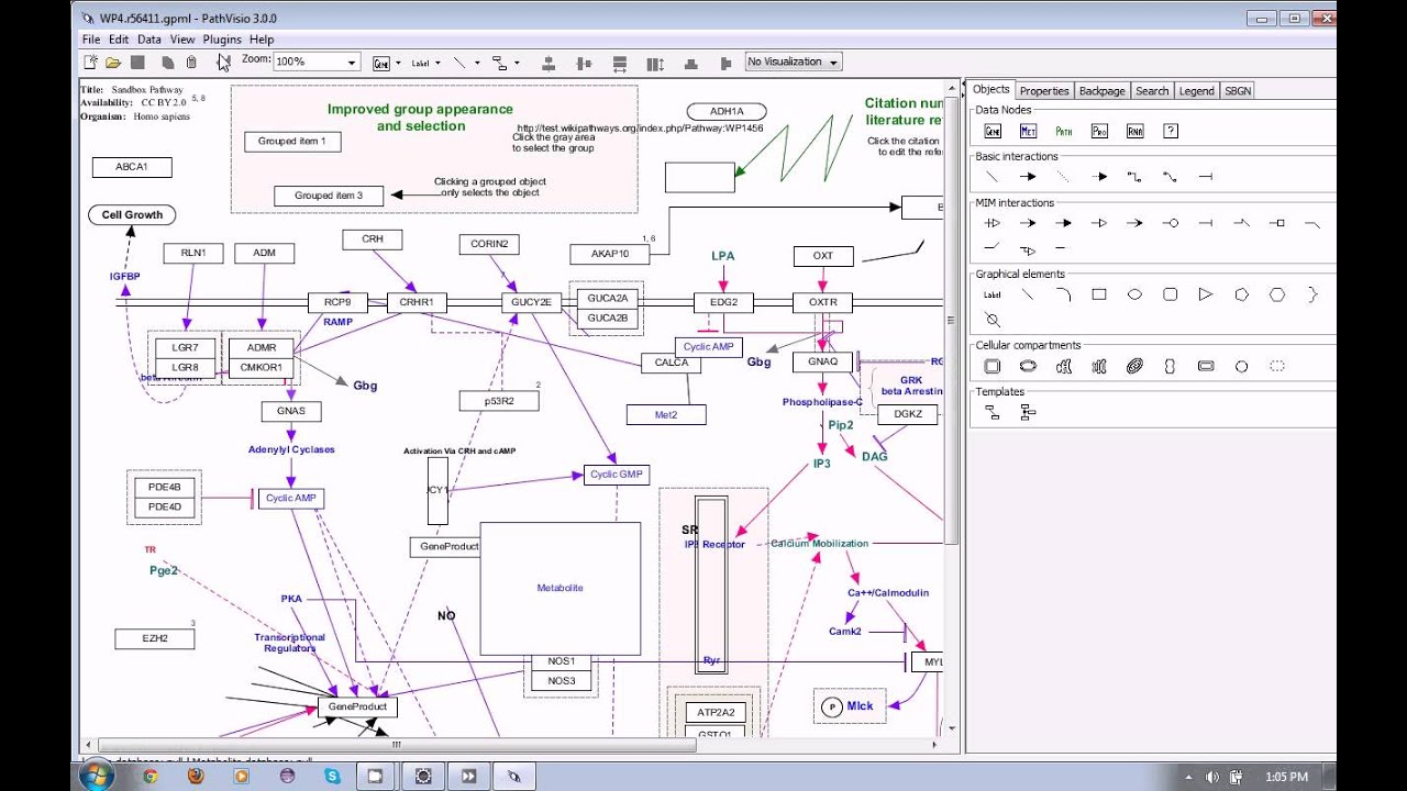 create pathway through WikiPathways Client