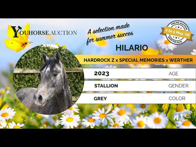 Hilario