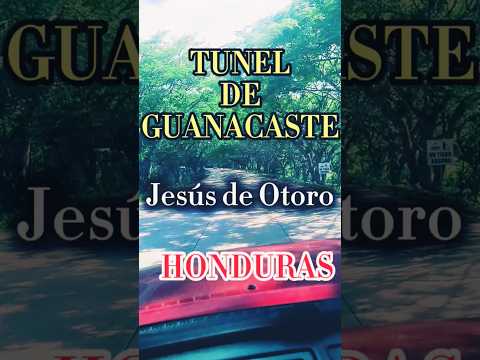 El misterioso Túnel de Guanacaste en Jesús de Otoro Intibucá Honduras.