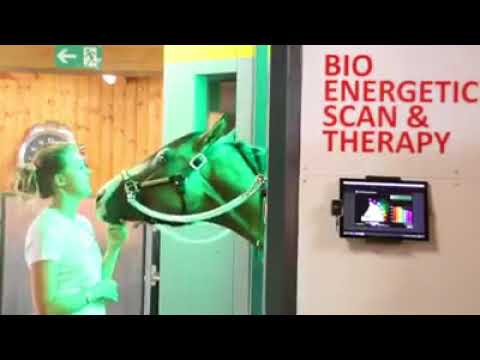 Gina Maria Schumacher CS Ranch