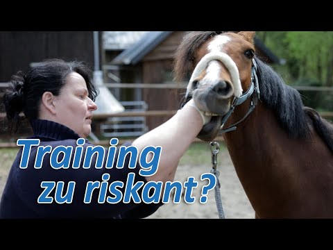 Pferdetraining zu Riskant? Tierärztin soll Vermutungen von Pferdetrainerin Ariane Telgen überprüfen